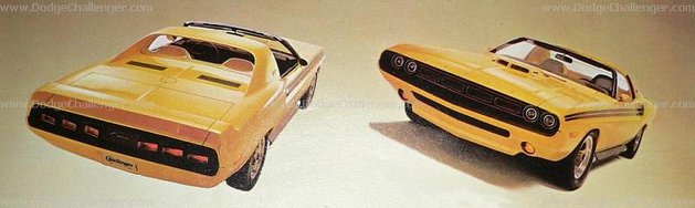 yellow-jacket