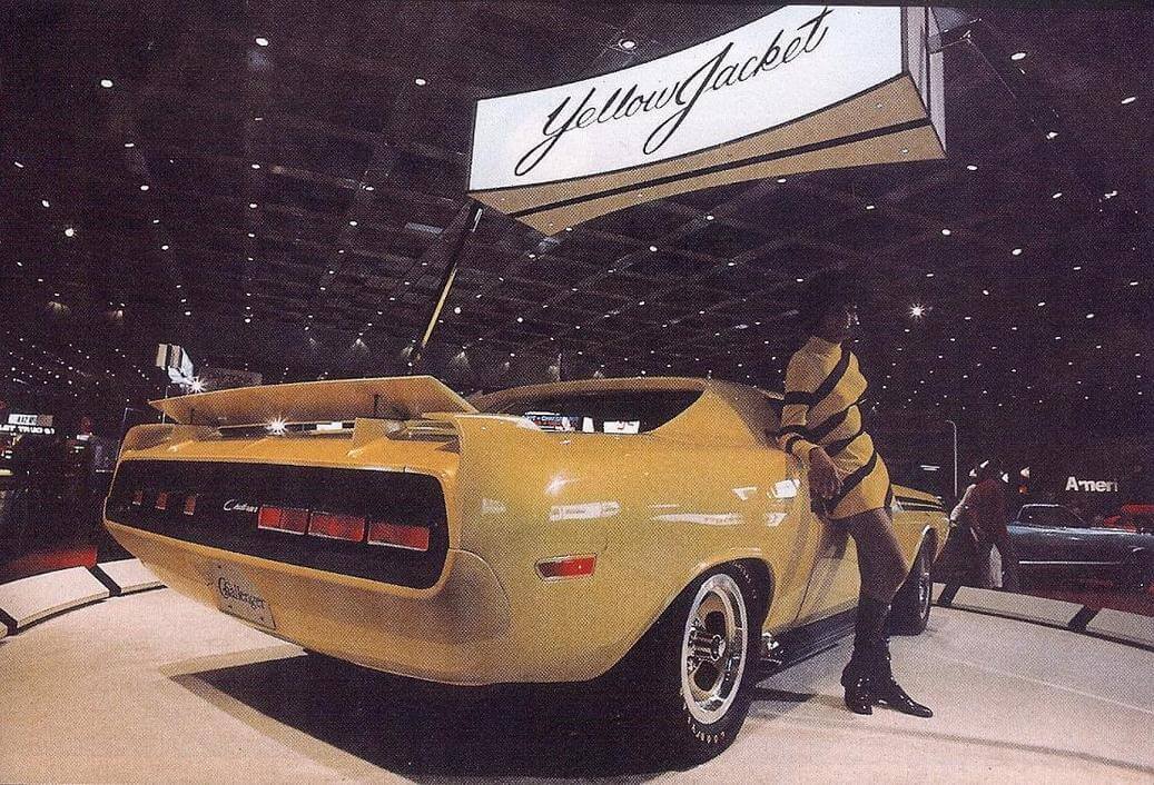 yellow-jacket