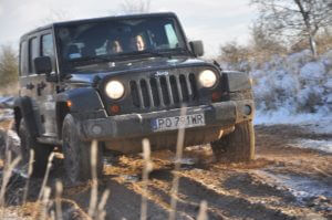 iv-choinka-4x4